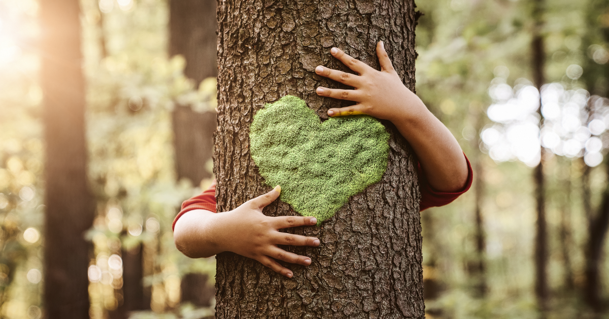 A kid hugging a tree with a heart symbol or shape