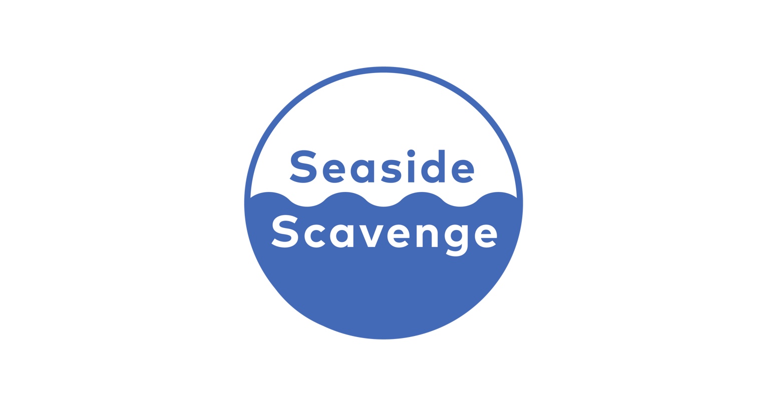 Seaside Scavenge