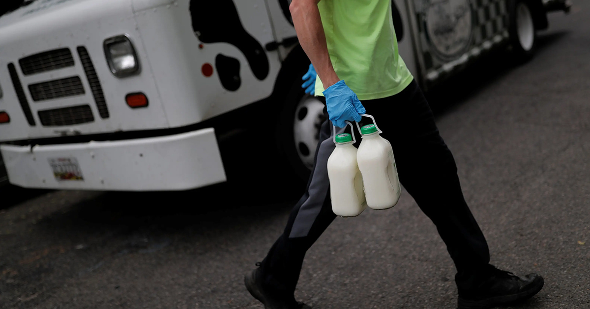 Sendle delivery guy holding two bottles of milk