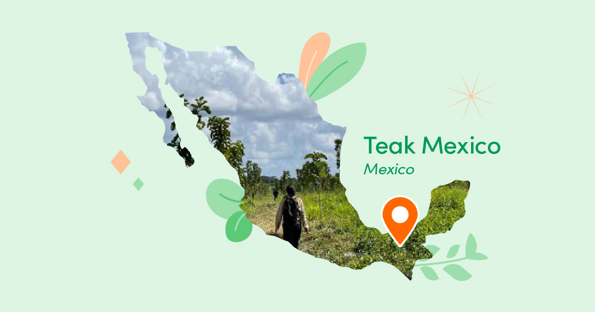 landing-map-of-mexico-pin-location-at-teak-mexico-lower-right-area-sendle