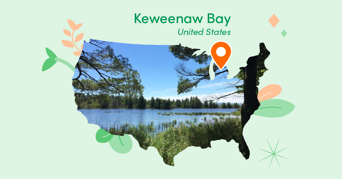 landing-map-of-united-states-pin-location-at-keweenaw-bay-michigan-sendle